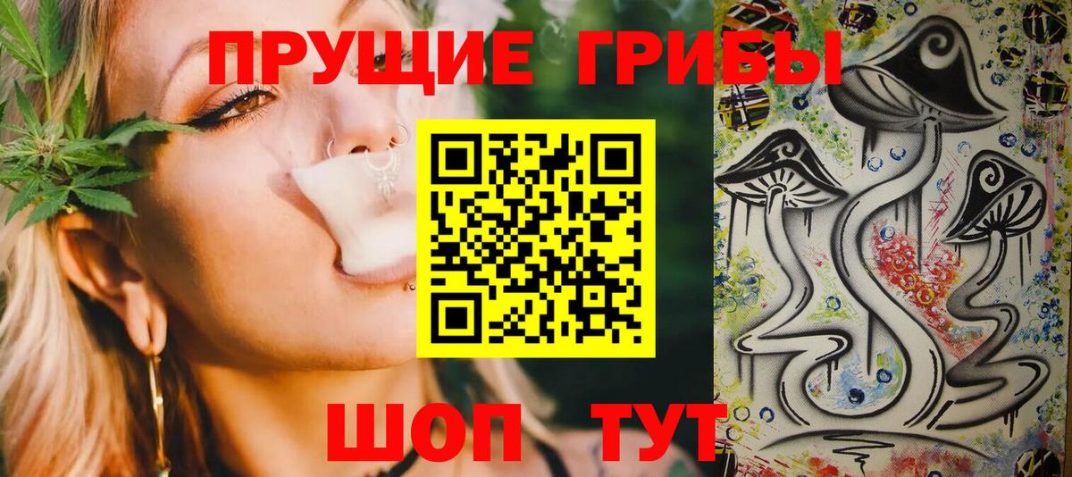 купить наркотик  Псилоцибиновые грибы MAGIC MUSHROOMS  Вход с VPN  Губкинский  Псилоцибиновые грибы мицелий 